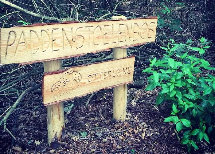 De Schuilevink - 8p Miva Otterlo