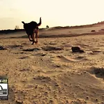De Schuilevink - 8p Miva Hébergement de vacances *