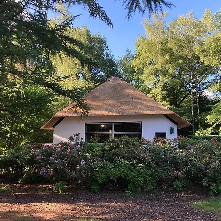 Ferienhaus De Schuilevink - 8p Miva