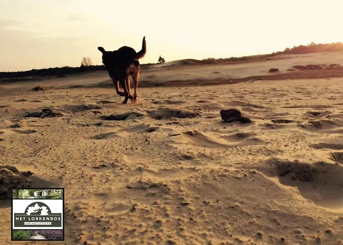 De Schuilevink - 8p Miva Semesterbostad *