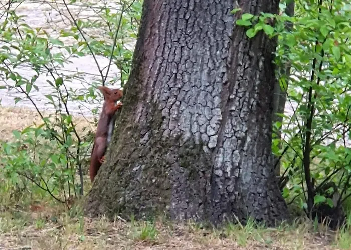 De Schuilevink - 8p Miva Semesterbostad Otterlo
