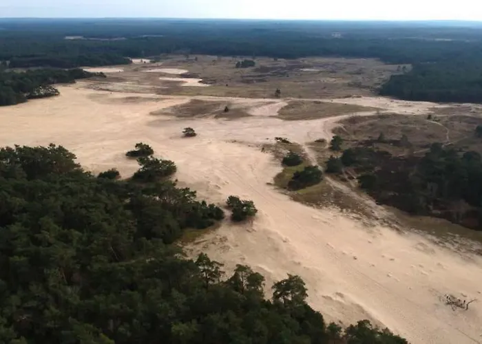 De Schuilevink - 8p Miva